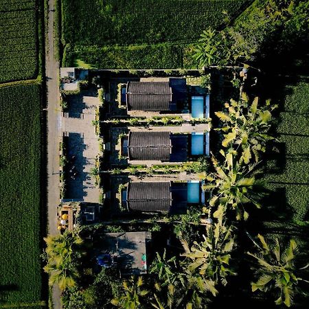 Alvia Joglo House & Private Pool Villa Tampaksiring Kültér fotó
